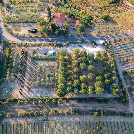 Agricamping Poggio Ai Pini Wine Camping เชร์ตาลโด ภายนอก รูปภาพ