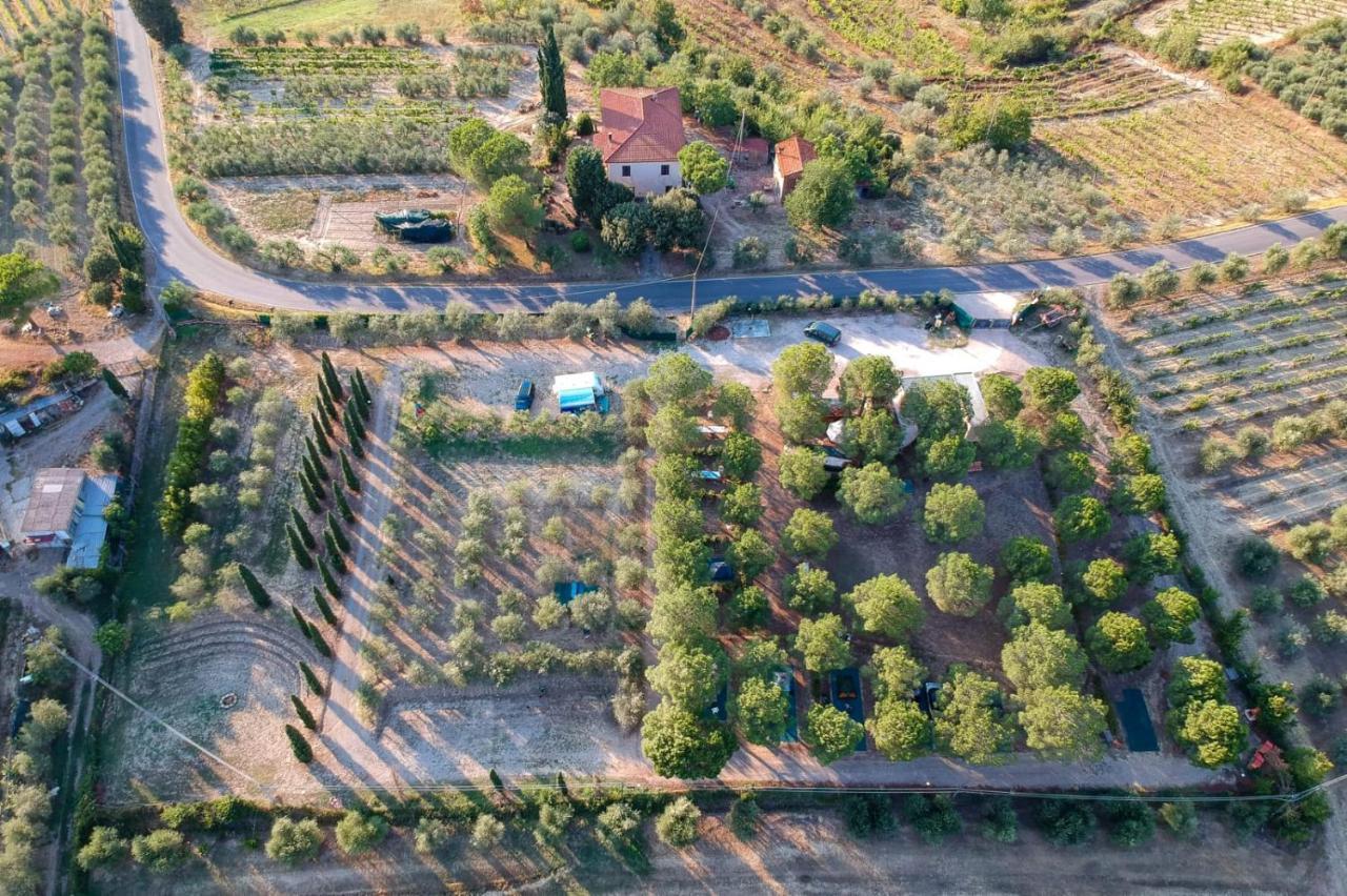 Agricamping Poggio Ai Pini Wine Camping เชร์ตาลโด ภายนอก รูปภาพ