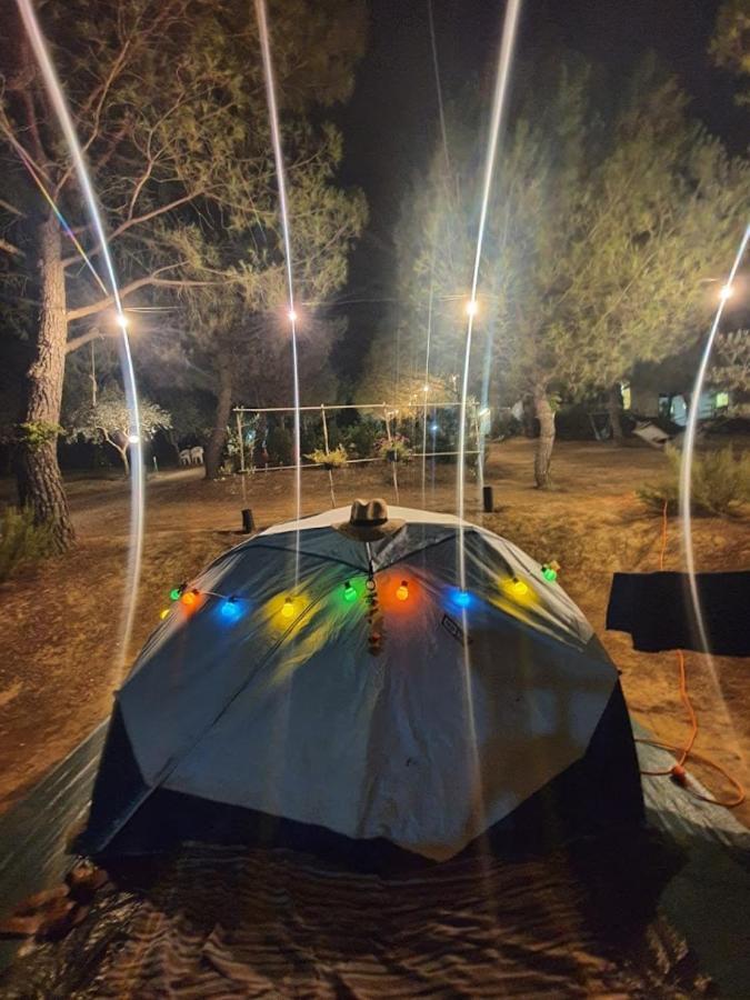 Agricamping Poggio Ai Pini Wine Camping เชร์ตาลโด ภายนอก รูปภาพ