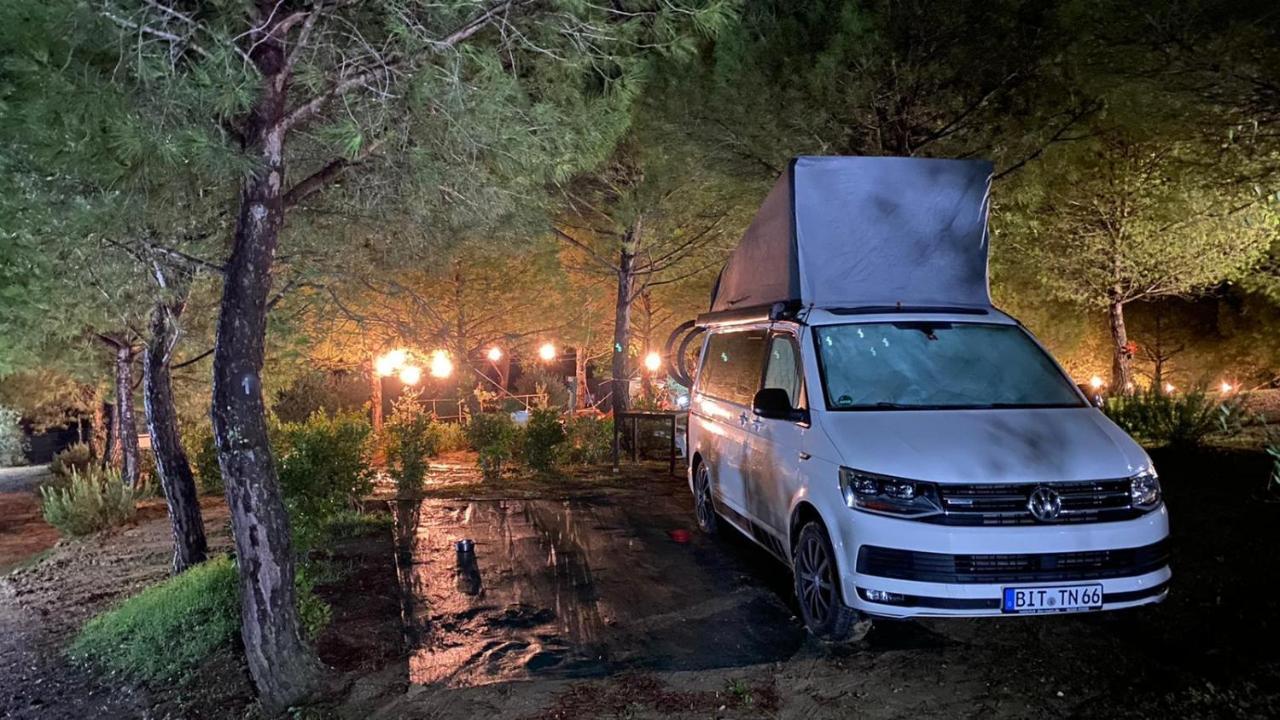 Agricamping Poggio Ai Pini Wine Camping เชร์ตาลโด ภายนอก รูปภาพ