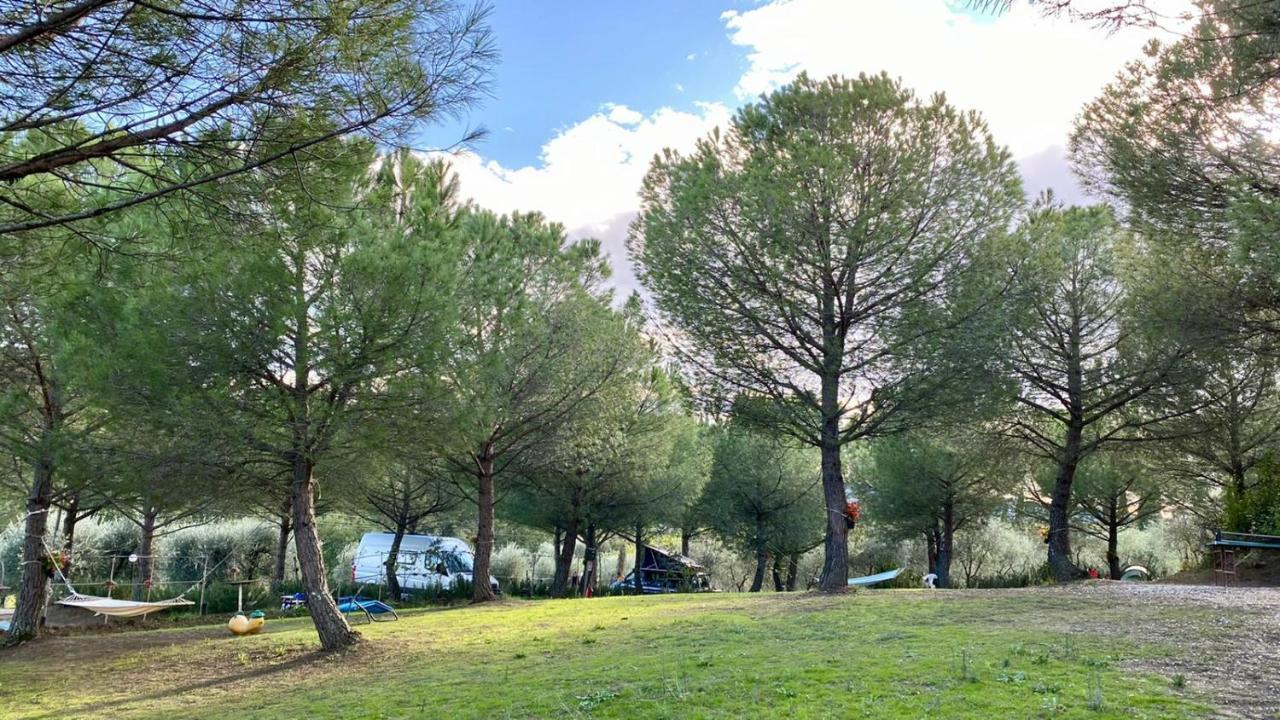 Agricamping Poggio Ai Pini Wine Camping เชร์ตาลโด ภายนอก รูปภาพ