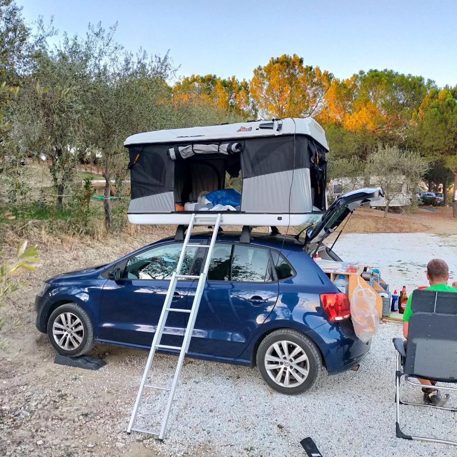 Agricamping Poggio Ai Pini Wine Camping เชร์ตาลโด ภายนอก รูปภาพ