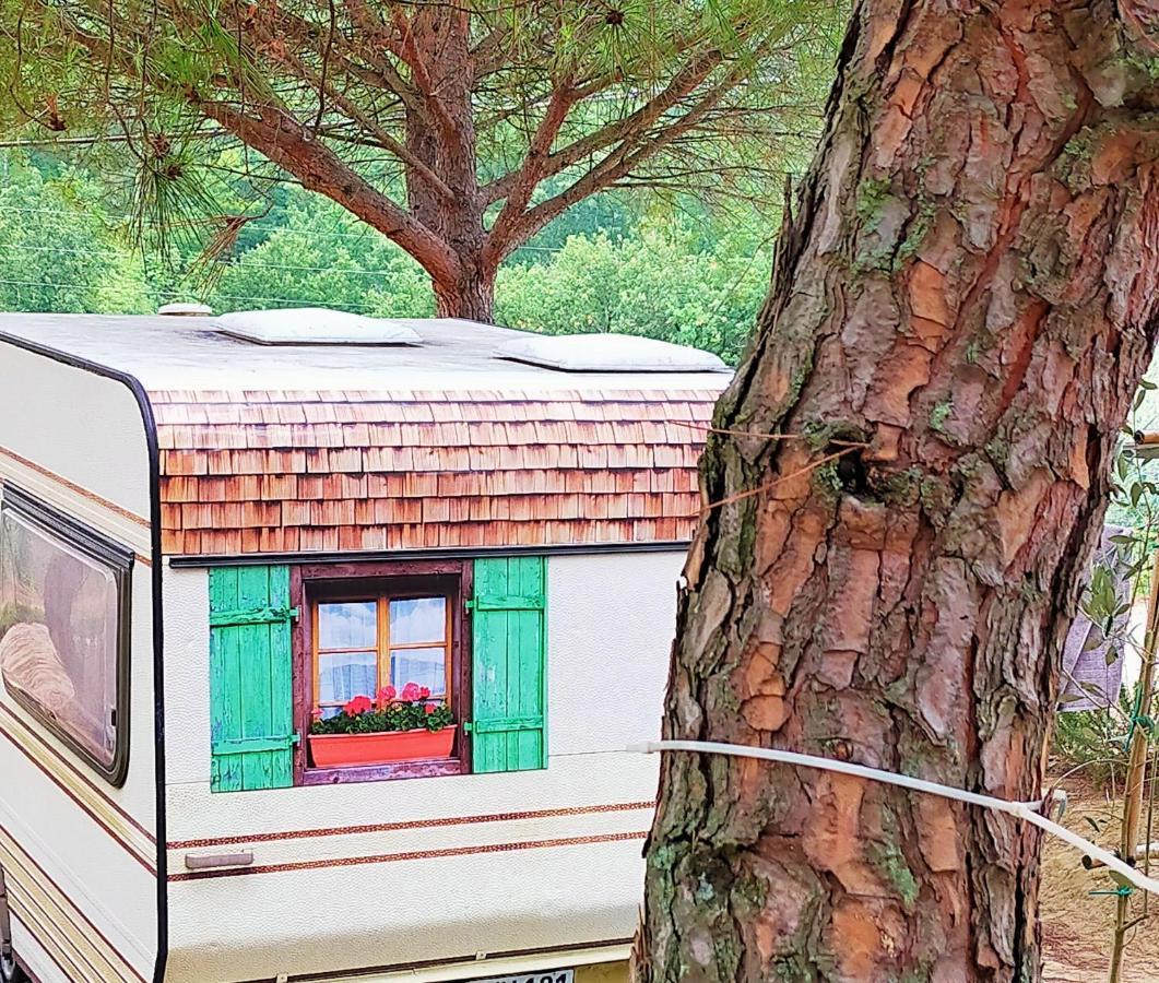 Agricamping Poggio Ai Pini Wine Camping เชร์ตาลโด ภายนอก รูปภาพ