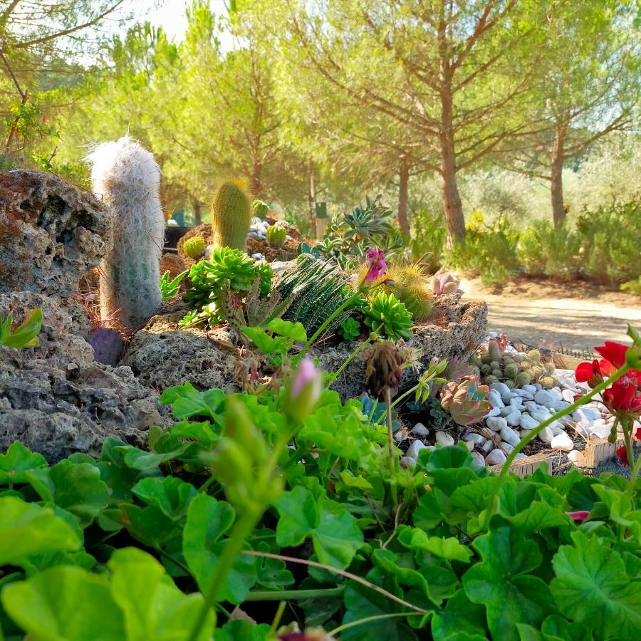 Agricamping Poggio Ai Pini Wine Camping เชร์ตาลโด ภายนอก รูปภาพ