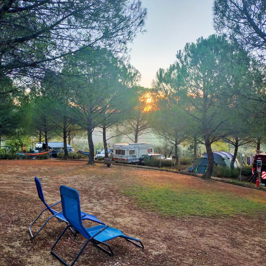 Agricamping Poggio Ai Pini Wine Camping เชร์ตาลโด ภายนอก รูปภาพ