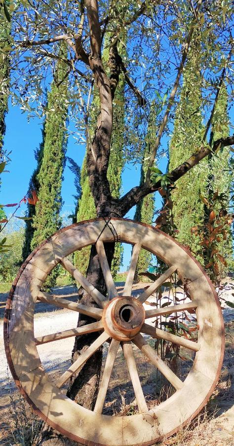 Agricamping Poggio Ai Pini Wine Camping เชร์ตาลโด ภายนอก รูปภาพ