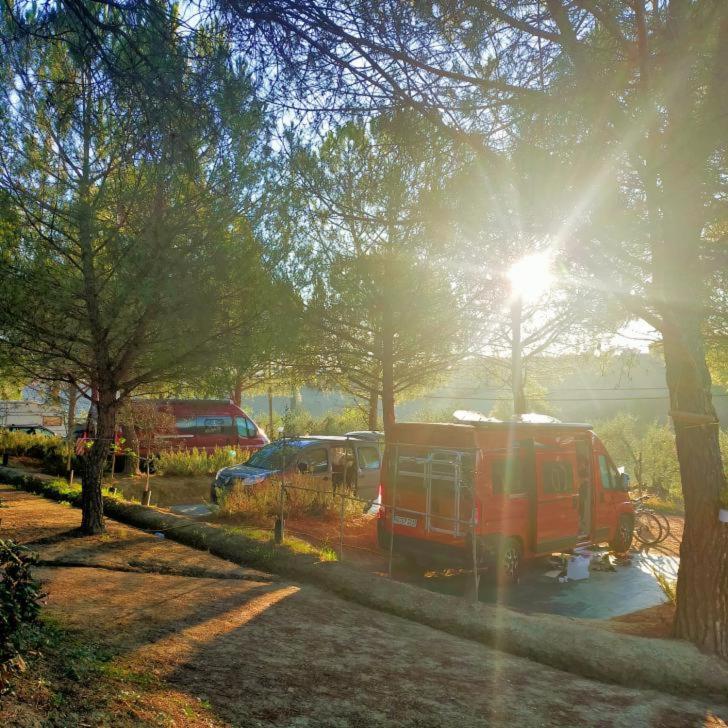 Agricamping Poggio Ai Pini Wine Camping เชร์ตาลโด ภายนอก รูปภาพ