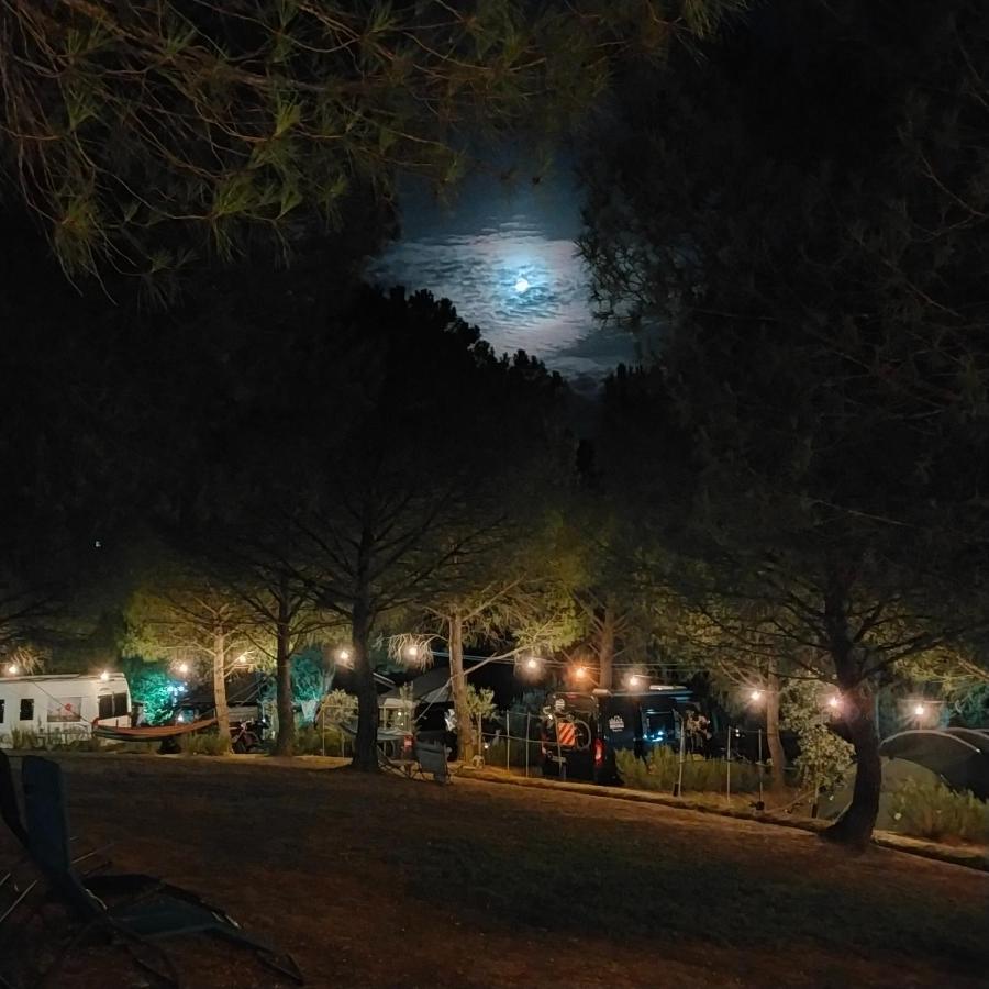 Agricamping Poggio Ai Pini Wine Camping เชร์ตาลโด ภายนอก รูปภาพ