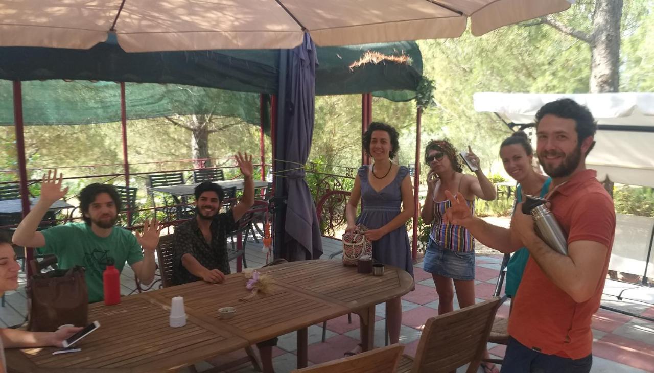 Agricamping Poggio Ai Pini Wine Camping เชร์ตาลโด ภายนอก รูปภาพ