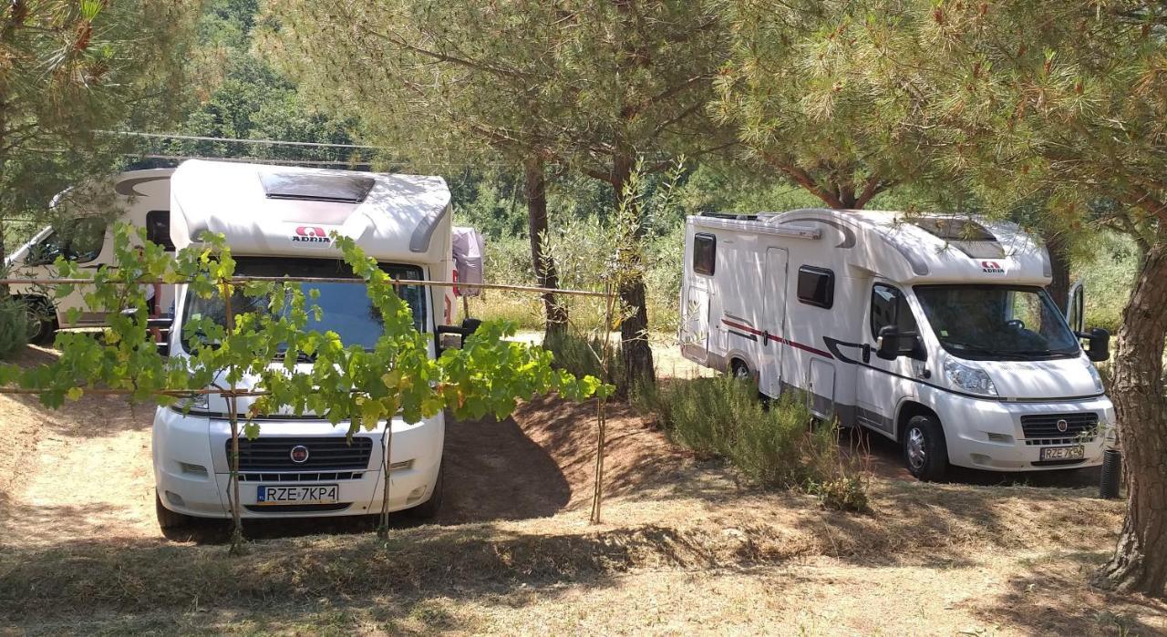 Agricamping Poggio Ai Pini Wine Camping เชร์ตาลโด ภายนอก รูปภาพ